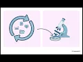 Module 1 EU MDR Clinical Evidence Framework