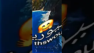 ١٩ سبتمبر ٢٠٢٥ 