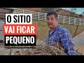 Download Lagu MUITOS ANIMAIS PRESTES A PARIR NO SÍTIO.