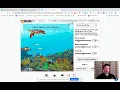 Coral Reefs Gizmo