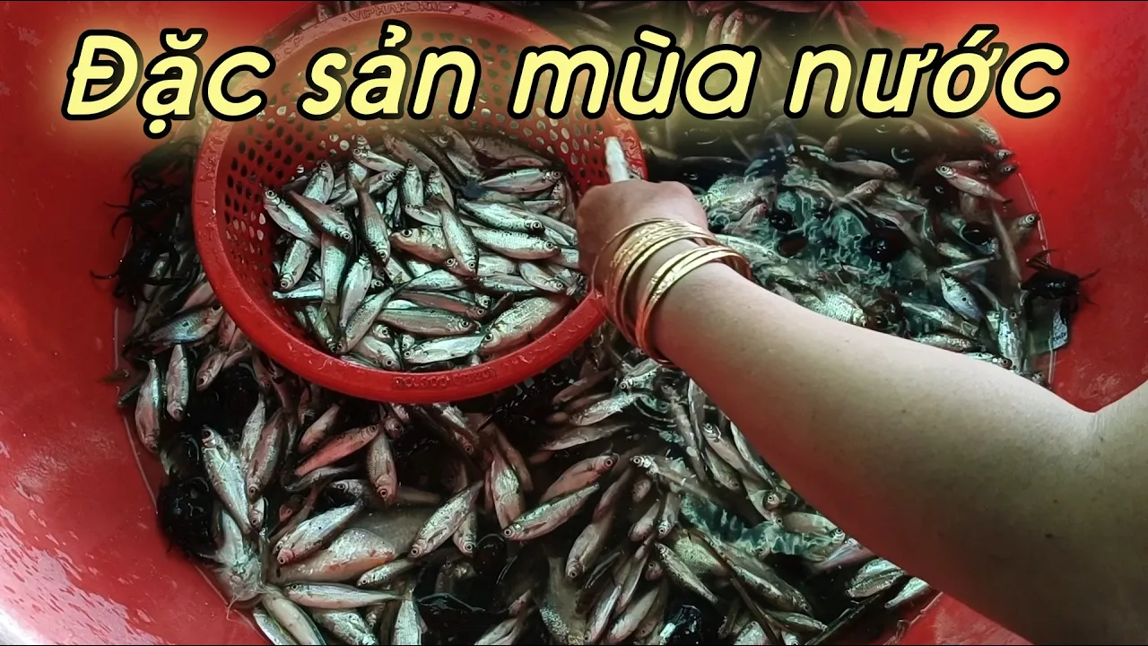 Đặc sản mùa nước nổi 18