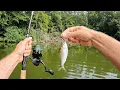Download Lagu WARNING: Light Tackle Catfishing is ADDICTIVE!
