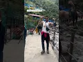 Download Lagu Mahakaal ki gulami mere kaam aa rhi hai                                 #mahakaal  #kedarnath  #trek