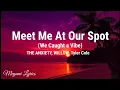 Meet Me At Our Spot We Caught A Vibe - THE ANXIETY WILLOW Tyler Cole
