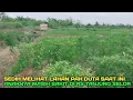 Download Lagu Info terbaru kabar kurang baik dari lahan pak duta sepunggur 2017