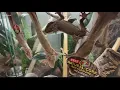Riverbanks Zoo free Fridays