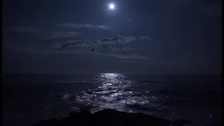 سورة البقرة كاملة بصوت القارئ عمر ضياء الدين بدون مؤثرات  سورة البقرة كاملة بصوت القارئ عمر ضياء الدين بدون مؤثرات