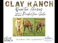 Clay Ranch Quarter Horses 2022 Production Sale