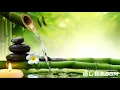 Light music for sleep - background music - sleep music - nature music - forest music
