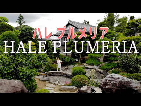 長野県東北信ドローン撮影：国家資格・補助者同伴・自社完結