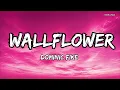 Wallflower – Dominic Fike | Lyrics