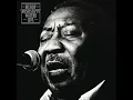 Mannish Boy (Live)