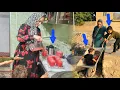 Download Lagu Razieh makes juice and chips for her aunt.