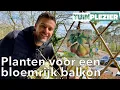 Lagu Planten voor een bloemrijk balkon | Tuinplezier