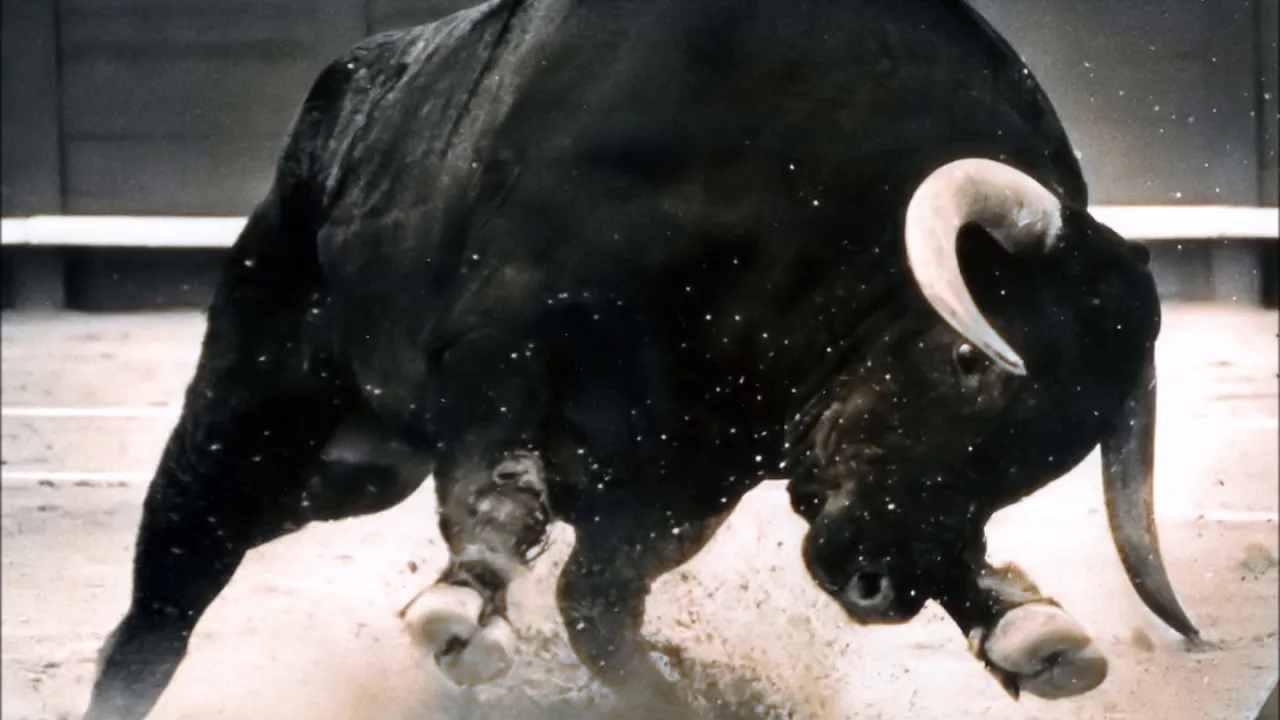 Imfez'emnyama FT Ntaba YaseDubai - Buka Kabili