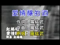 愛情釀的酒-紅螞蟻-羅紘武 (伴奏)