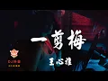 Download Lagu 【抖音EDM】王心雅 - 一剪梅 | REMIX | DJ | 慢搖 | 舞曲 | DJ | TIKTOK | 重鼓版| EDM [無歌詞x高音質] ♬DJK8♬