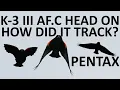 Download Lagu PENTAX K-3 III AF.C vs Z-Axis fast flying songbirds