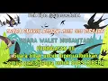 Download Lagu SUARA PANGGIL RESPON 1000% 2023 | Suara Walet Terbaru