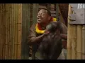 Martin Is Attacked By A Puppy