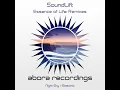 Essence of Life (Etasonic Remix)