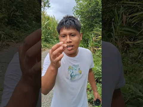 PESCANDO EN UN LAGO