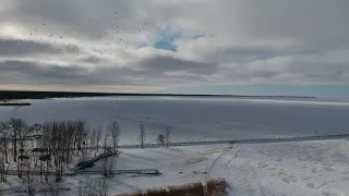 Caseville Michigan - Breakwall Drone Shots