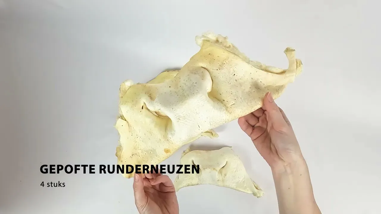 Runderneuzen gepoft