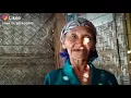 Download Lagu Story wa nenek tertawa lucu