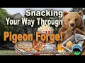 Snacking Your Way Through Pigeon Forge