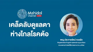  ใครควรมาตรวจตาทุกปี และทำไม 