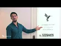 Colibri Studio tutorial