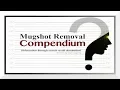 Reputation Management DIY Mugshot Removal Guide