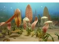 The Evolution of Multicellular Life