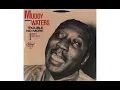 Muddy Waters - Don't Go No Further (ft. Walter Horton on harmonica)