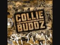 Lagu Collie Buddz Feat  Roache - Sensimilla