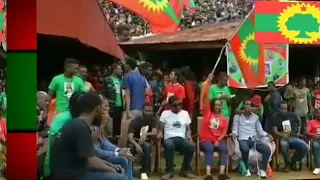 Sirba Jafar Yusuf Ishoo Ja Ii Qeerroo Kooo Ja Uu Kana Itiin Boharaa 