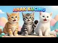Lagu LAGU ANAK 🇮🇩 ANAK KUCING MEONG MEONG - KITTEN SONG - LAGU ANAK BALITA VIRAL