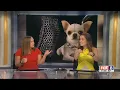 WGHP Fox 8 News Late Edition - Close 2023