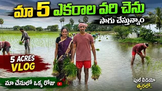 రైతుగా ఉండడం అంత సులువు కాదు🥺 || 5 ఎకరాల వరి చేను సాగు పూర్తి వీడియో || #tiktokdurgarao ✊