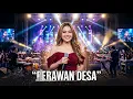Perawan Desa ELEGAN & ROMANTIS! ✨ Cara Baru Nikmati Dangdut