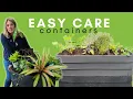 Containers to please a crowd Herbs poolside tropicals