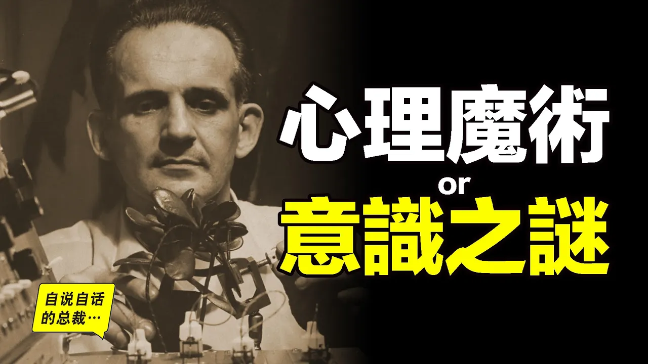 給植物測謊,被植物讀心,這個男人的實驗證明植物也有意識……|自說自話的總裁