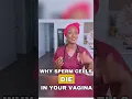 Lagu Doctor explains why your UTERUS causes SPERM CELLS to die \u0026 you are NOT falling PREGNANT #fertility