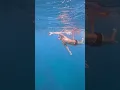 A challenging swim at Lido Galomar Madeira Island