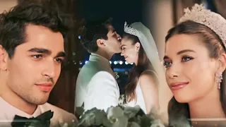 قدام الناس حماقي سيران فريد Seyran Ferit طائر الرفراف 