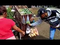 Download Lagu Pagi hari hidup di desa pedalaman,sayur gratis untuk semua 