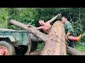 Download Lagu Agricultural vehicles transporting timber are quite dangerous when men are nearby.