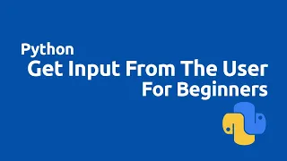 Python Tutorial for Beginners Taking User Input In Python Command Line Input