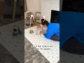 TEACHING MY BABY TO CRAWL 6 months old
